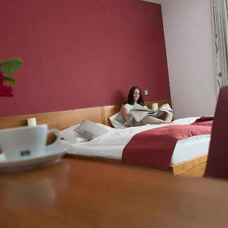 Hotel Greive 3*